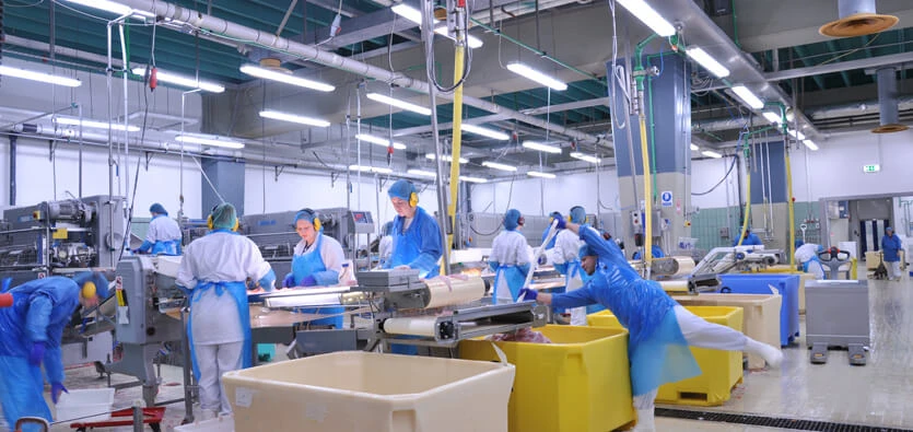 Reasons Why You Should Automate Your Food Processing Plant