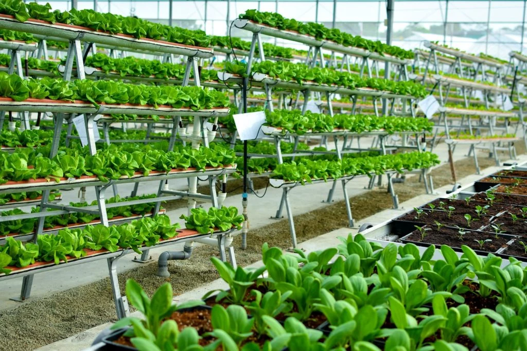 vertical farming edmonton